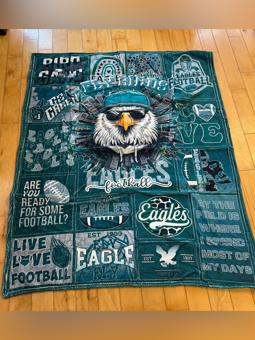Philadelphia Eagles Graphic Throw Blanket - Teal & White